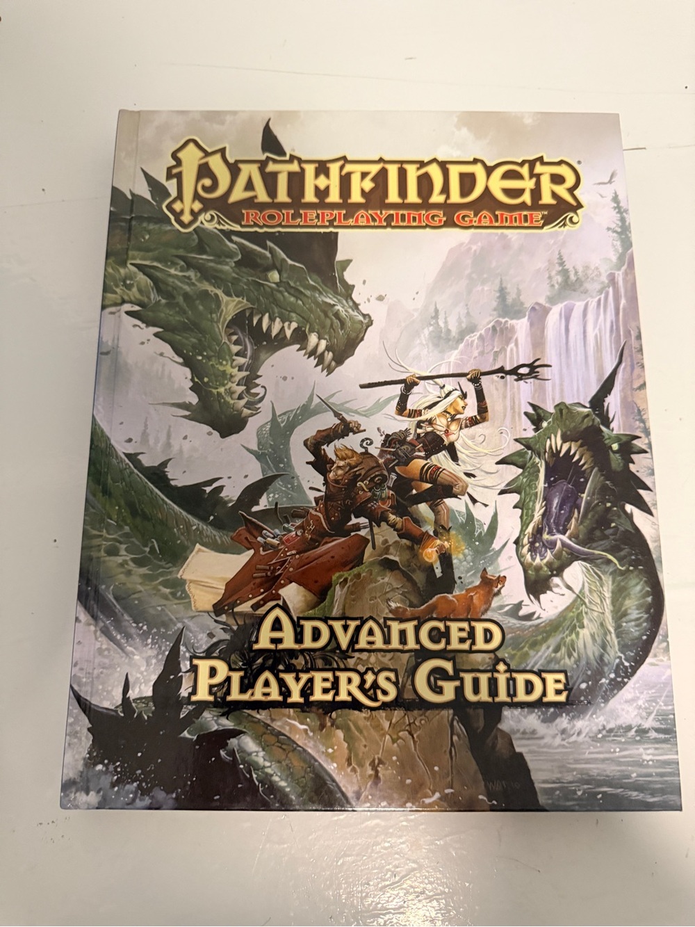 Pathfinder RPG Advanced Player's Guide Hardcover